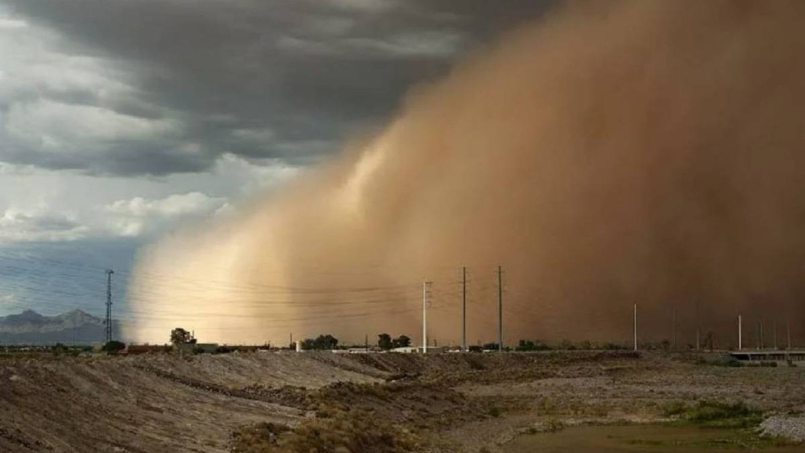 ЖЕТІБАЙ ҚҰМҒА КӨМІЛІП БАРАДЫ.