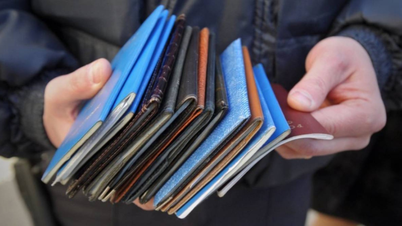 Қазақстандағы еңбек мигранттарының дені Қытайдан келген.