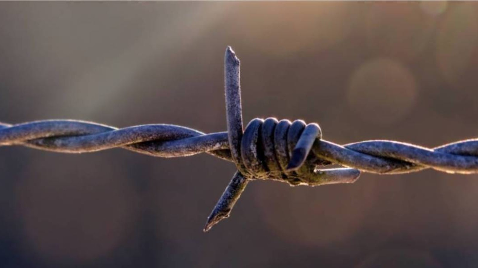 Армения мен Әзербайжан арасында қақтығыстар басталды.