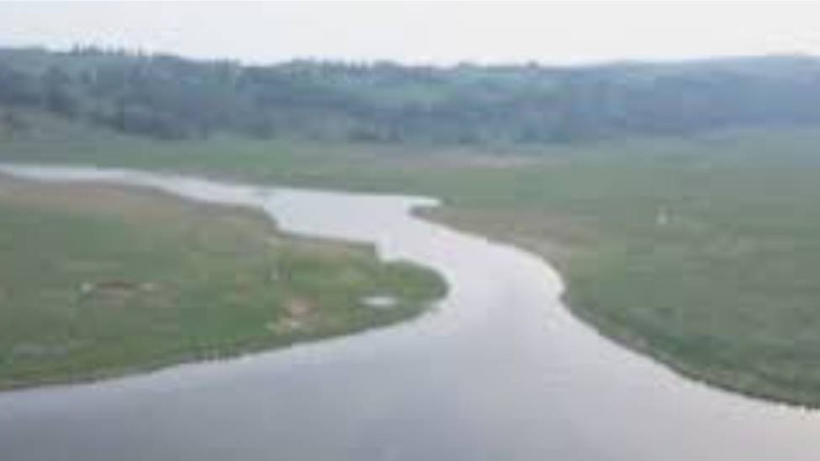 Тоқаев Қалжыр өзенін ластағандарды заңмен жазалауды тапсырды.