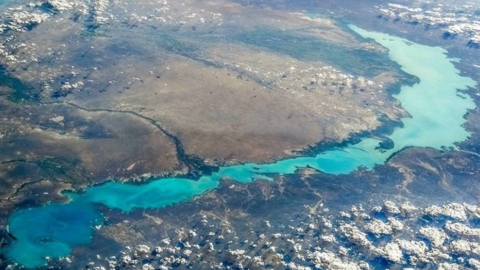 Балқаш көлінің тағдыры үшін қытайға алақан жаюға мәжбүрміз.