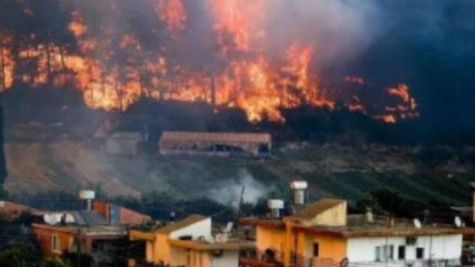 Түркиядағы өртті террористердің ұйымдастырғаны белгілі болды.