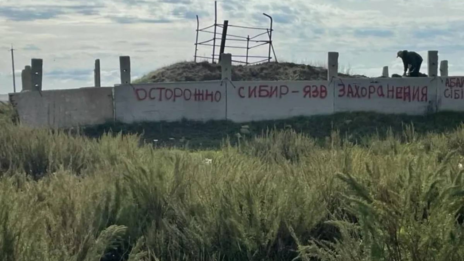 Сібір жарасының өршуіне байланысты Атбасар ауданында екі ауыл карантинге жабылды