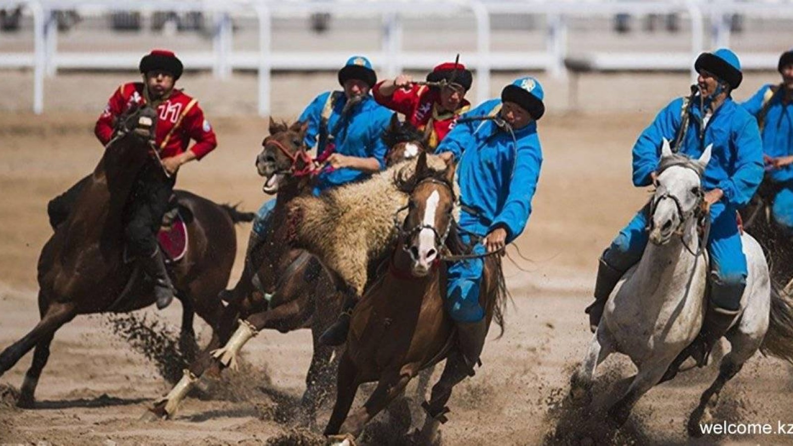 Қазақтың көкпары VI Дүниежүзілік көшпенділер ойындарына енбей қалды