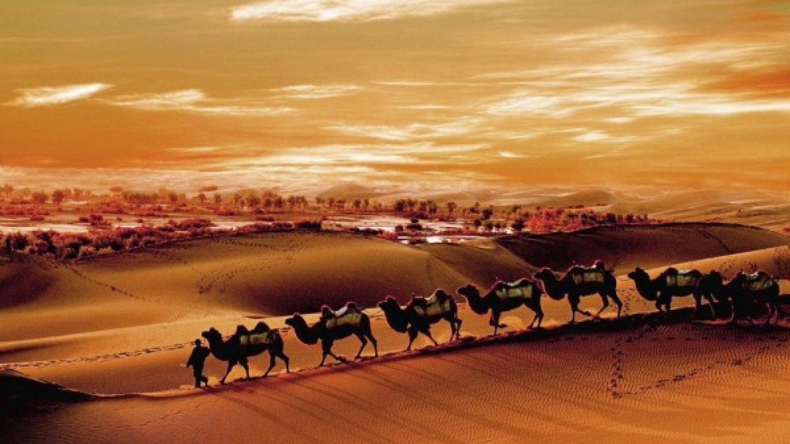 Жолдауда айтылған «Жібек жолының» атауы туралы – Сарапшы пікірі