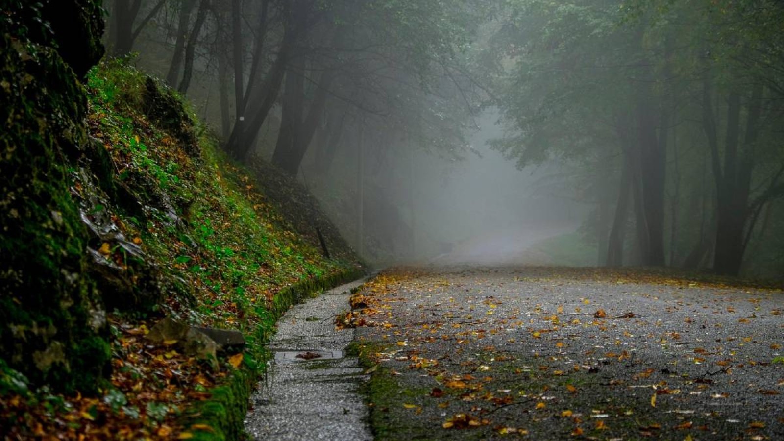 Тұман мен жел. 8 қазанға арналған ауа райы болжамы