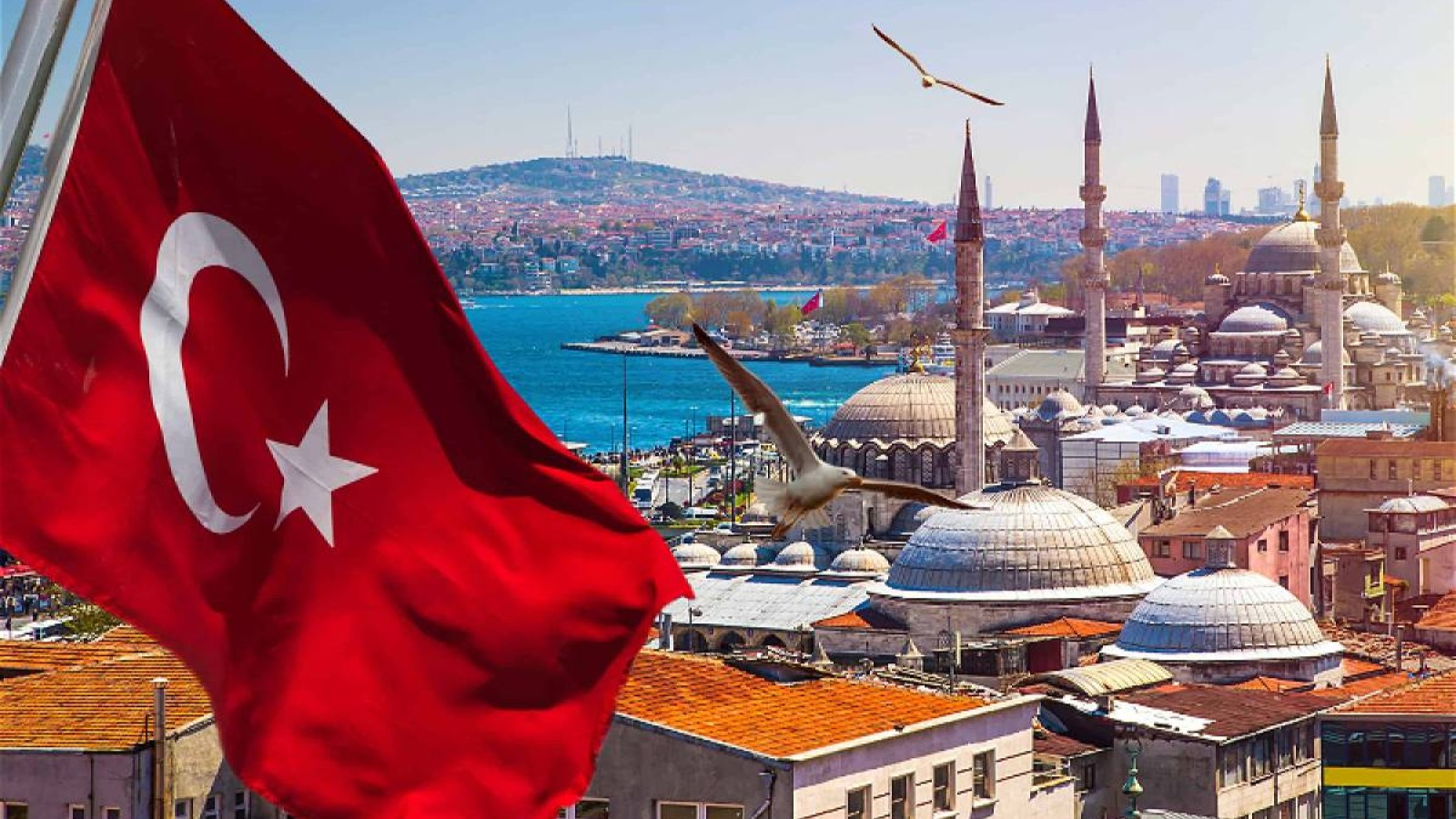 Түркі елдерінің азаматтары Түркияда азаматтық алмай-ақ жұмыс істей алады