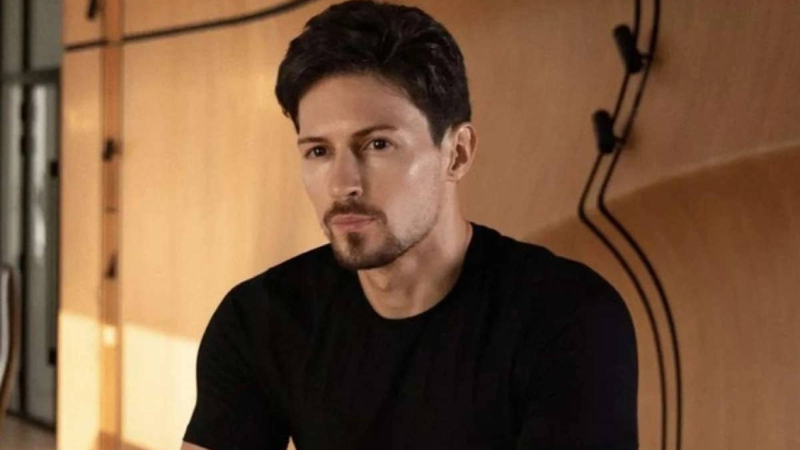 Дуров Луврдан ұрланған әшекейлерді сатып алып, басқа музейге бермек