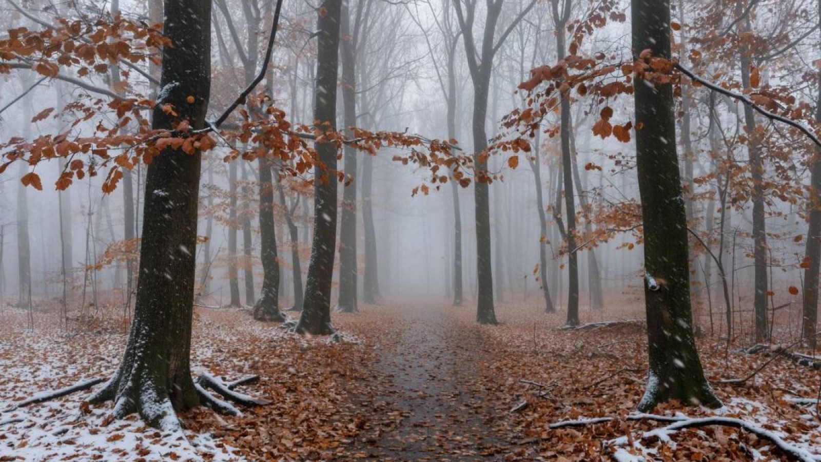 3 қарашаға арналған ауа райы болжамы