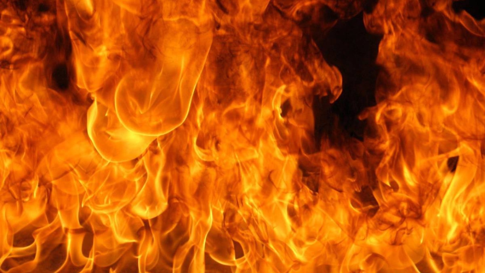 Алматыда әкімшілік ғимарат өртенді