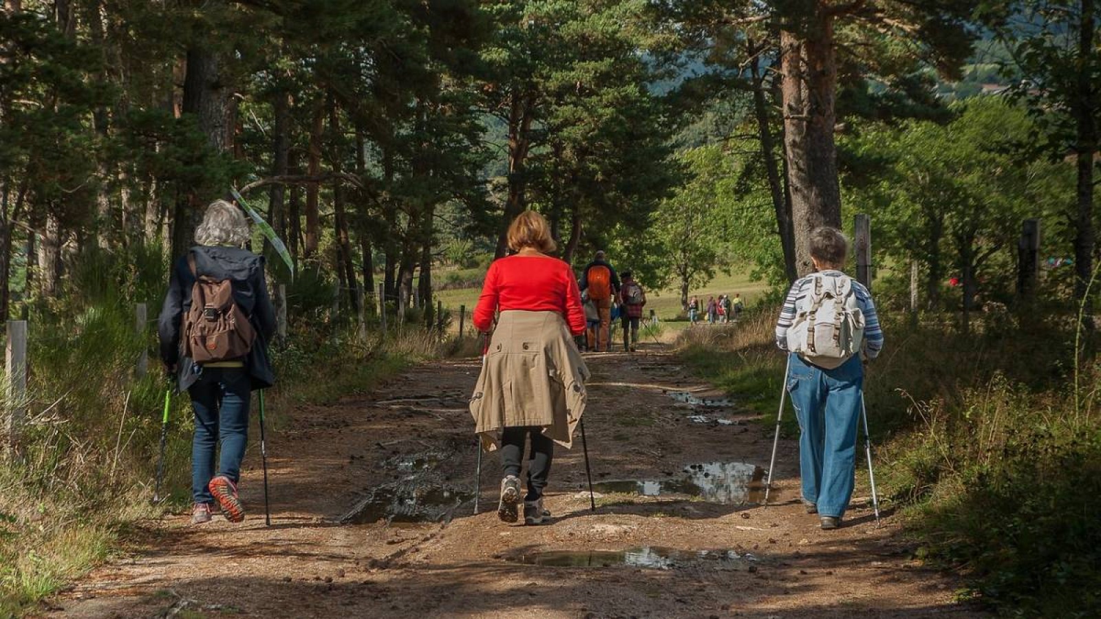 Отандық туризмнің басты проблемасы аталды