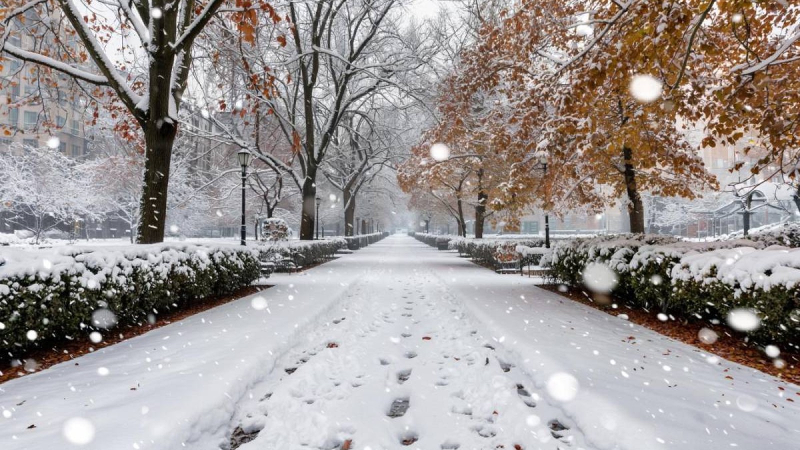 Бүгін ауа райы қандай болады?