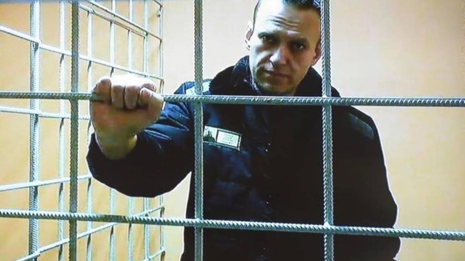 НАТО елдері Алексей Навальныйдың өліміне не себеп болғанын мәлімдеді
