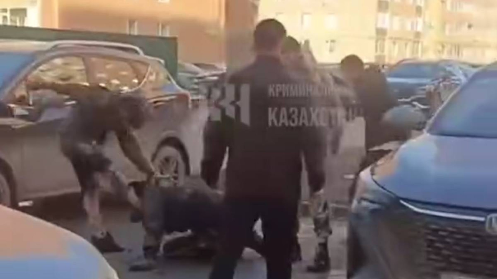 Қостанайда бір топ мас адам полицейді ұрып тастады