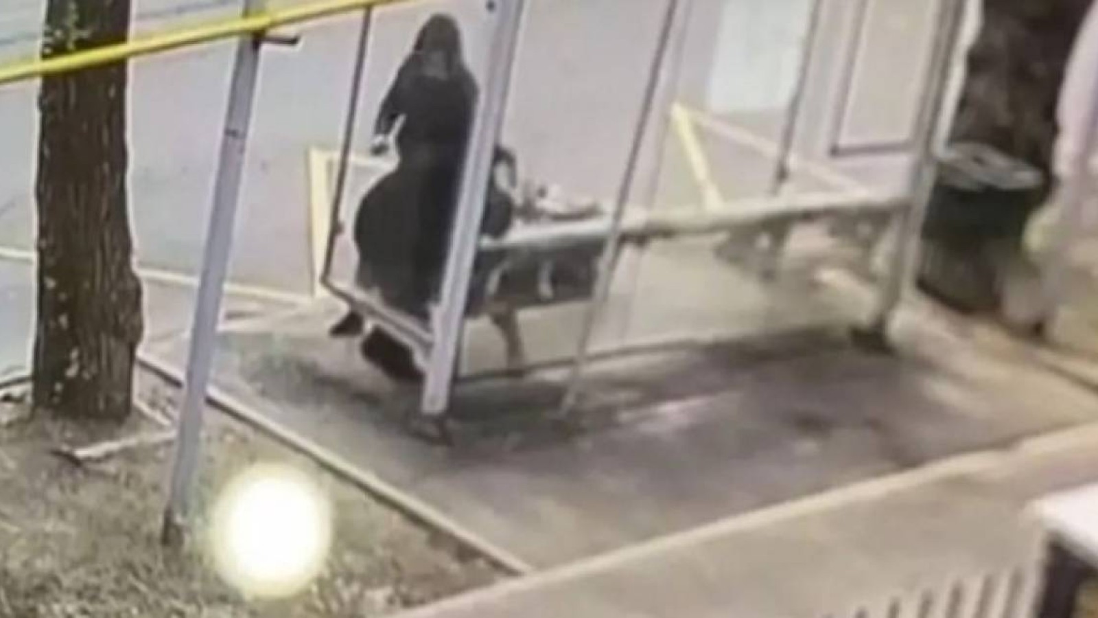 Алматыда белгісіз ер адам аялдамада зейнеткер әйелді аяусыз ұрған