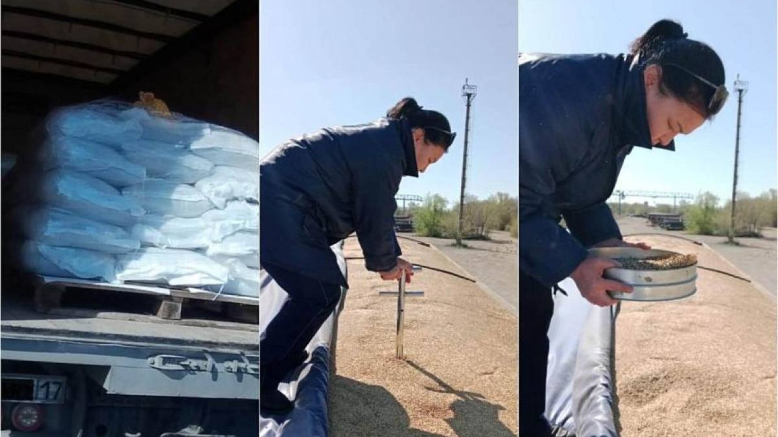 Қазақстанға Ресейден залалды арпалар жеткізілген