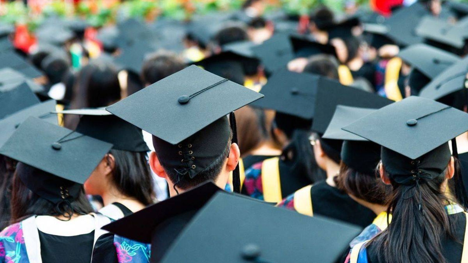 "Кімнің балалары тегін оқып жүр?" – Депутат "Болашақ" бағдарламасындағы заңсыздықтарды әшкереледі