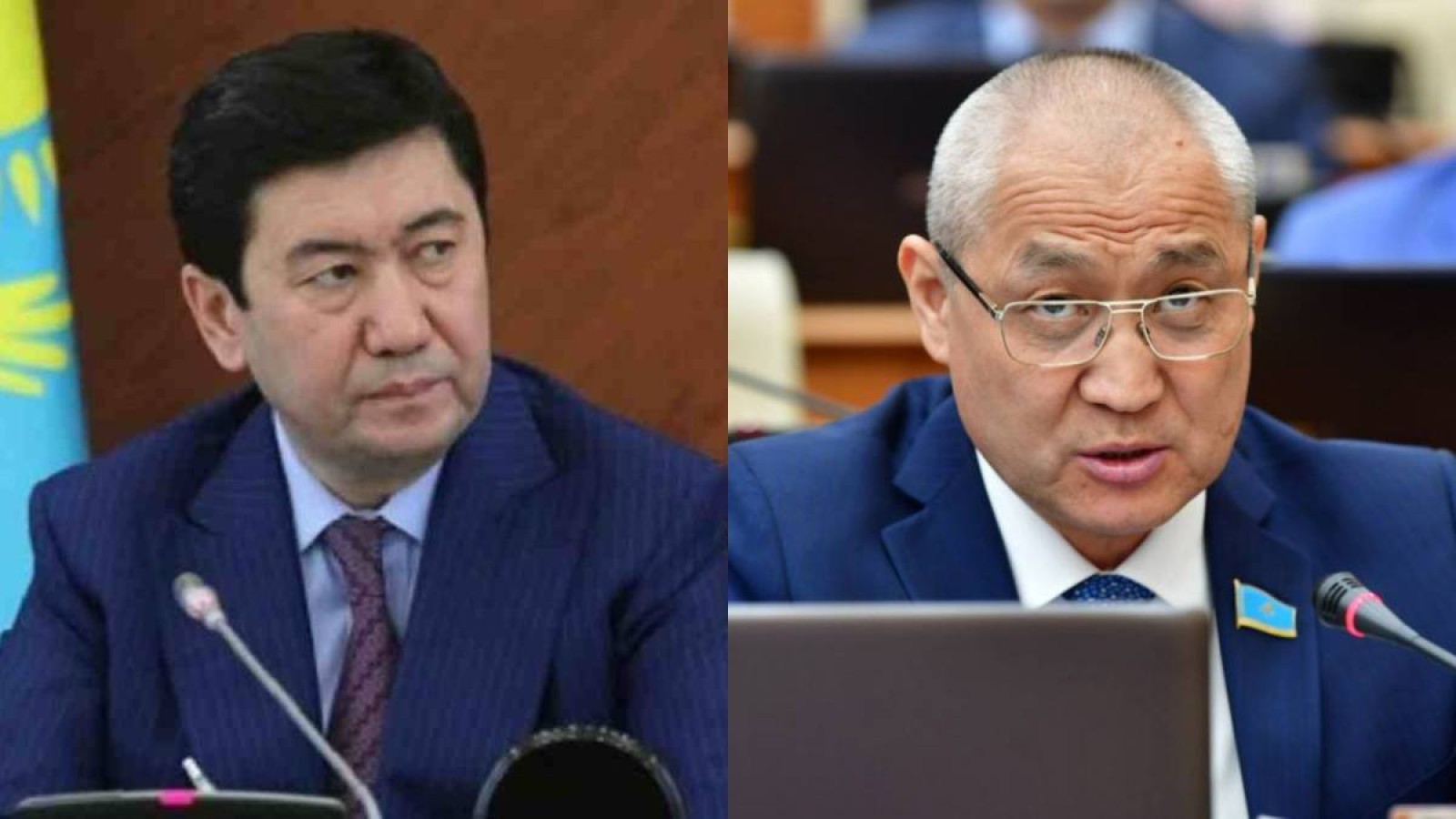 "Итке өкпелеп, Жаңбыршин де біраз жерге барды": Жануарларға қатысты заңға нүкте қойылды