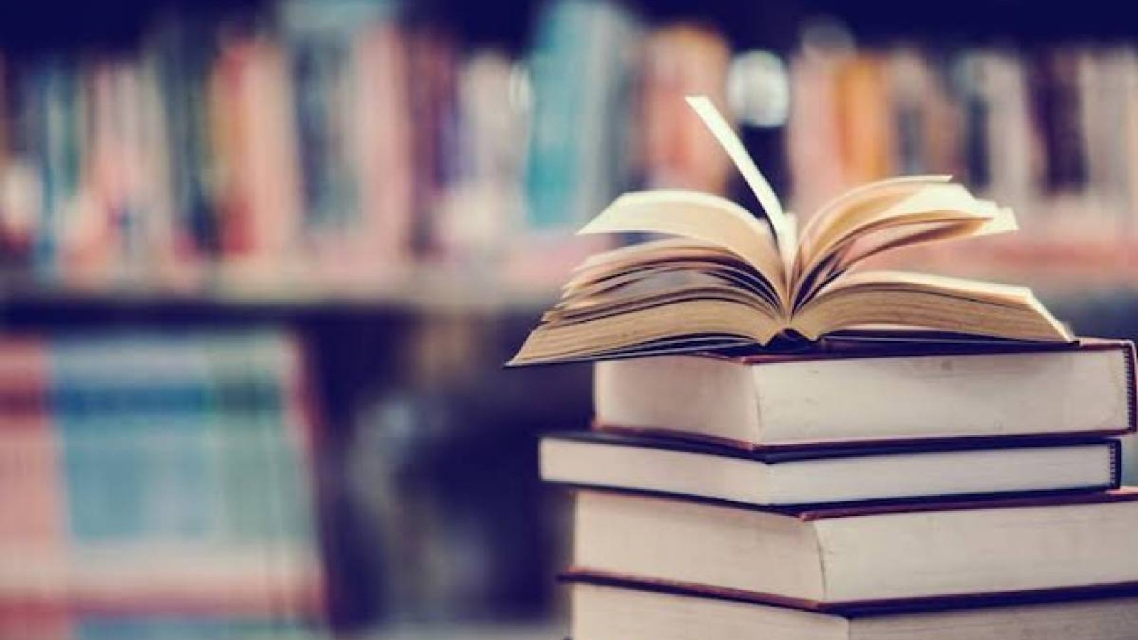 Оқулықтардан 700-ден астам қате анықталды: Балаева мәселенің барын жасырмады