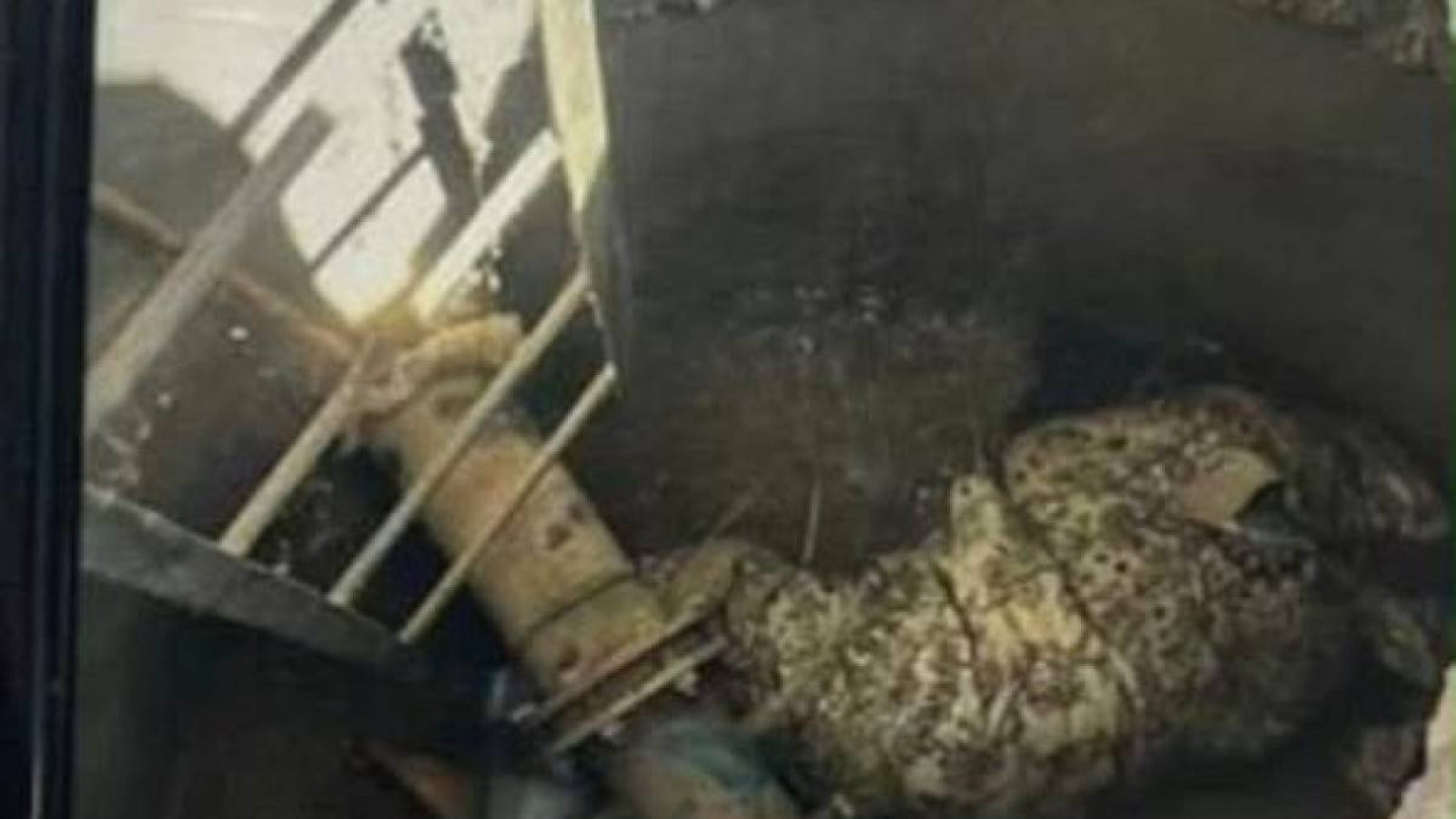 15 жастағы жігіт ағасын айуандықпен өлтіріп, құдыққа тастаған