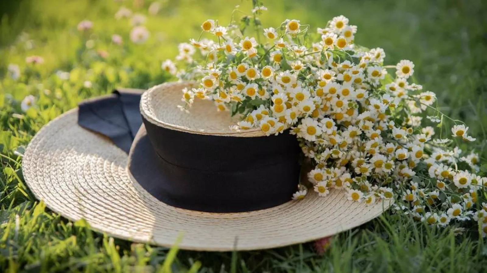 Бүгін еліміздің бір мегаполисінде күн 37 градусқа дейін ысиды