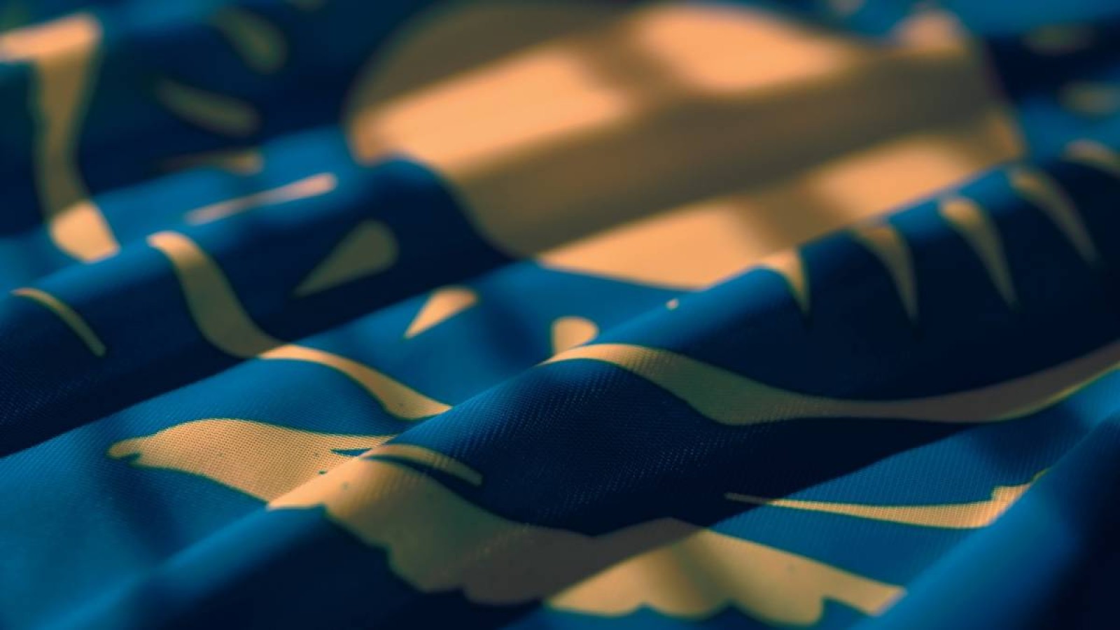 Енді туды балконға ілуге болады: елімізде мемлекеттік туды пайдалану ережесі жаңарды