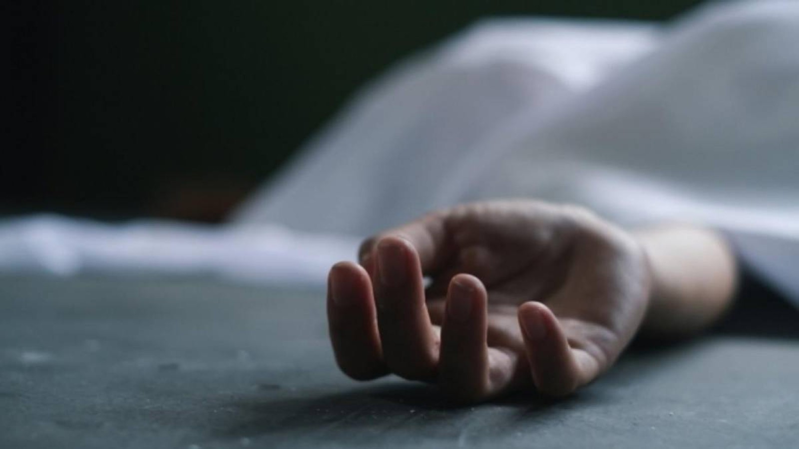 Жамбыл облысында 25 жастағы спортшы атып өлтірілді