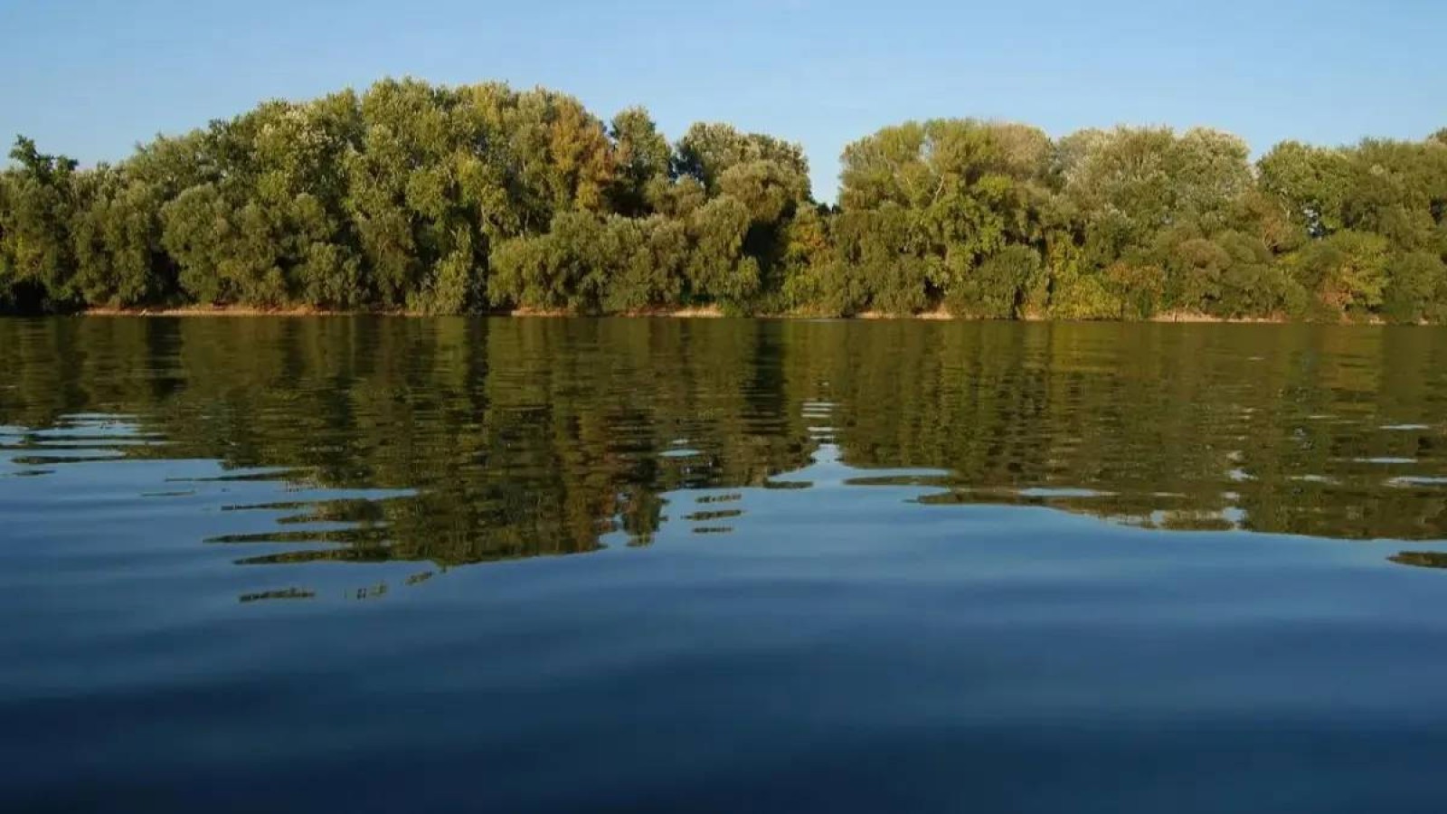 Астана маңындағы жағажайда әпкелі-сіңлілі екі қыз көз жұмды