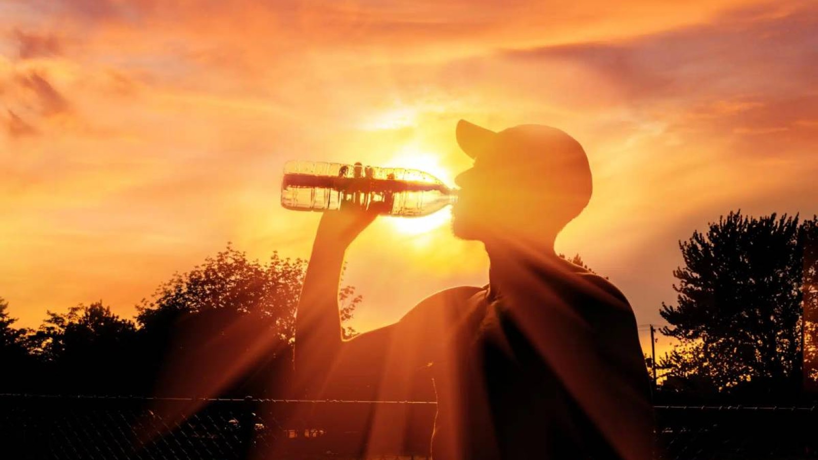 Қазақстанның оңтүстігінде +44°C-қа дейін аптап ыстық болады