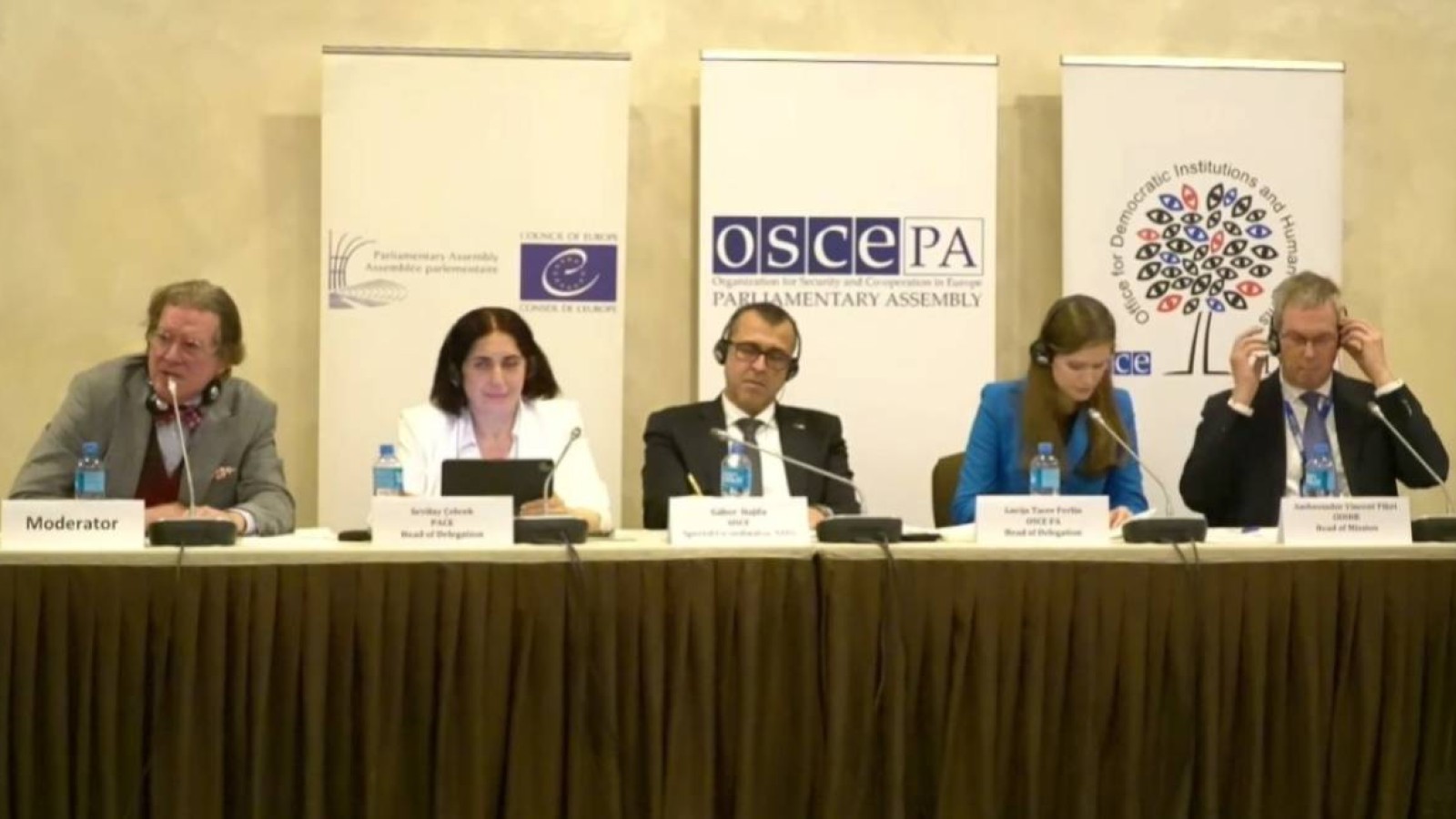 ДИАҚБ: Қазақстандағы партиялар үгіт-насихат жұмыстарын еркін жүргізіп, сайлаушыларға өз үндеуін жолдай алды