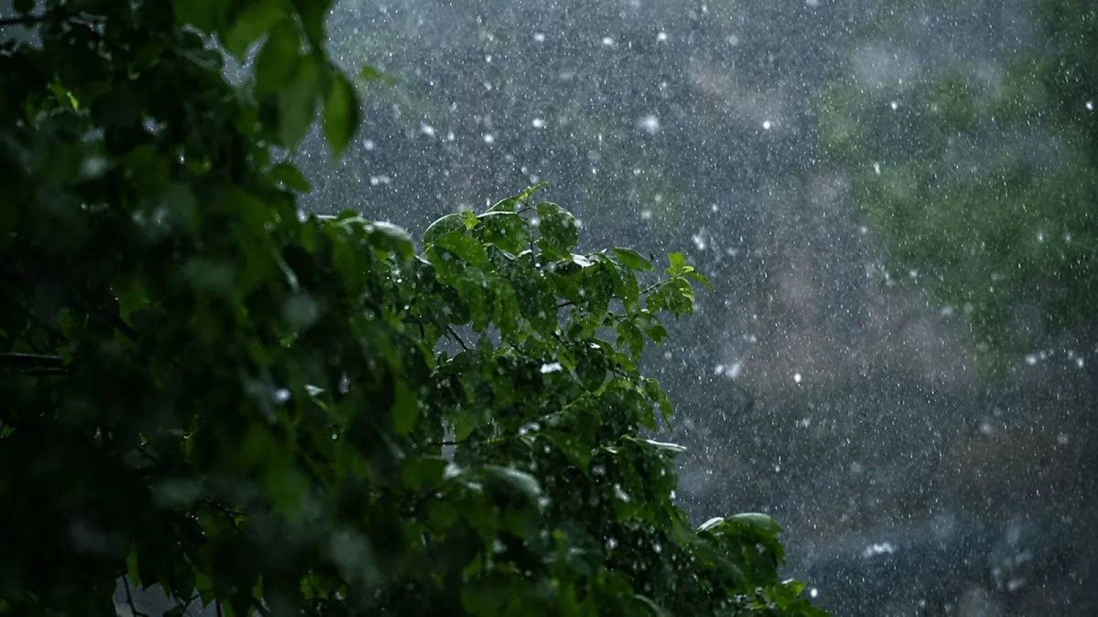 27 тамызда Қазақстанның бірқатар өңірінде жаңбыр жауып, күн күркірейді