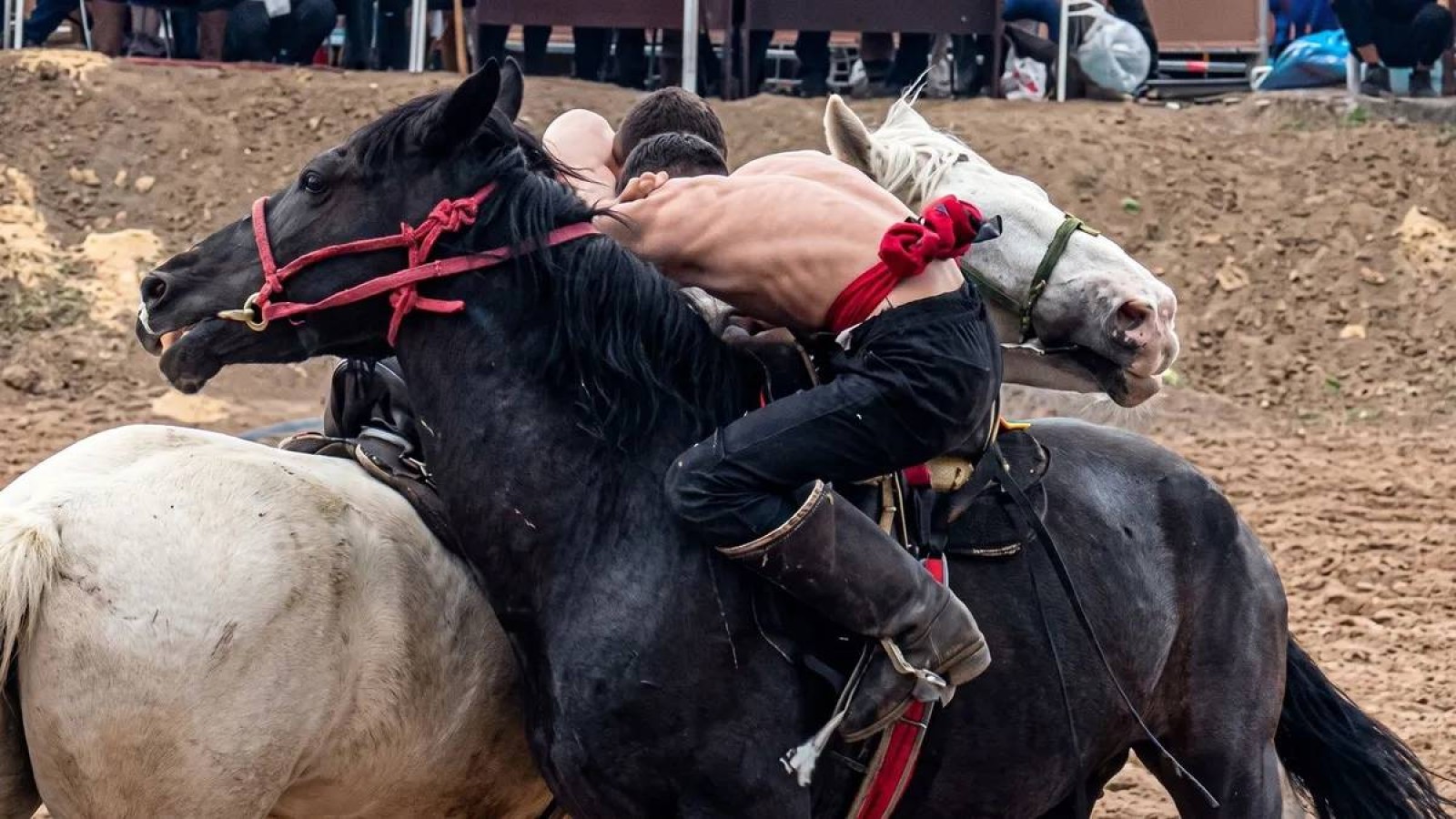 Қазақстан Көшпенділер ойындарында аударыспақтан екі алтын жеңіп алды