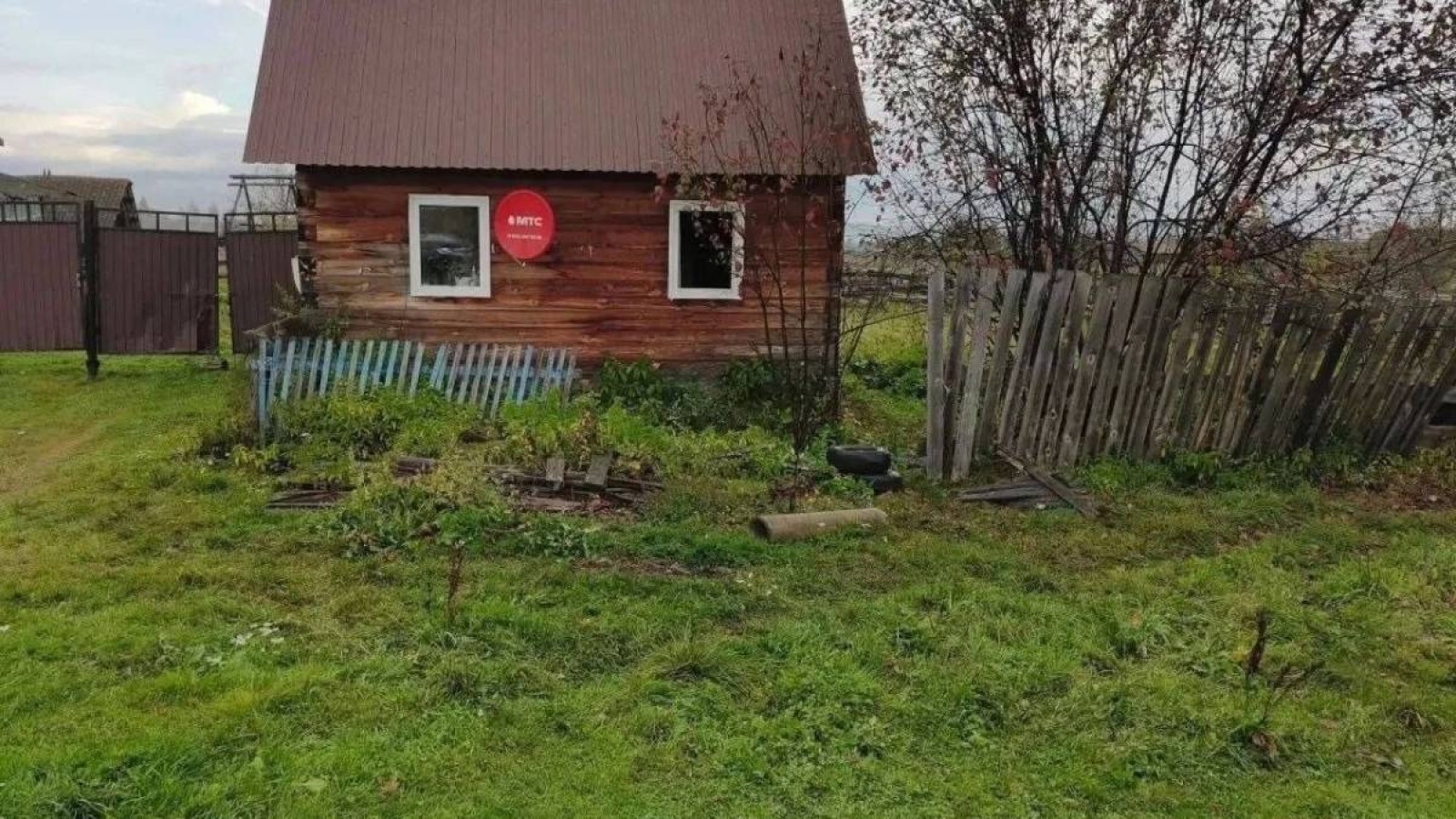 Ресейде аю үйге басып кіріп, 66 жастағы әжейді талап өлтірді