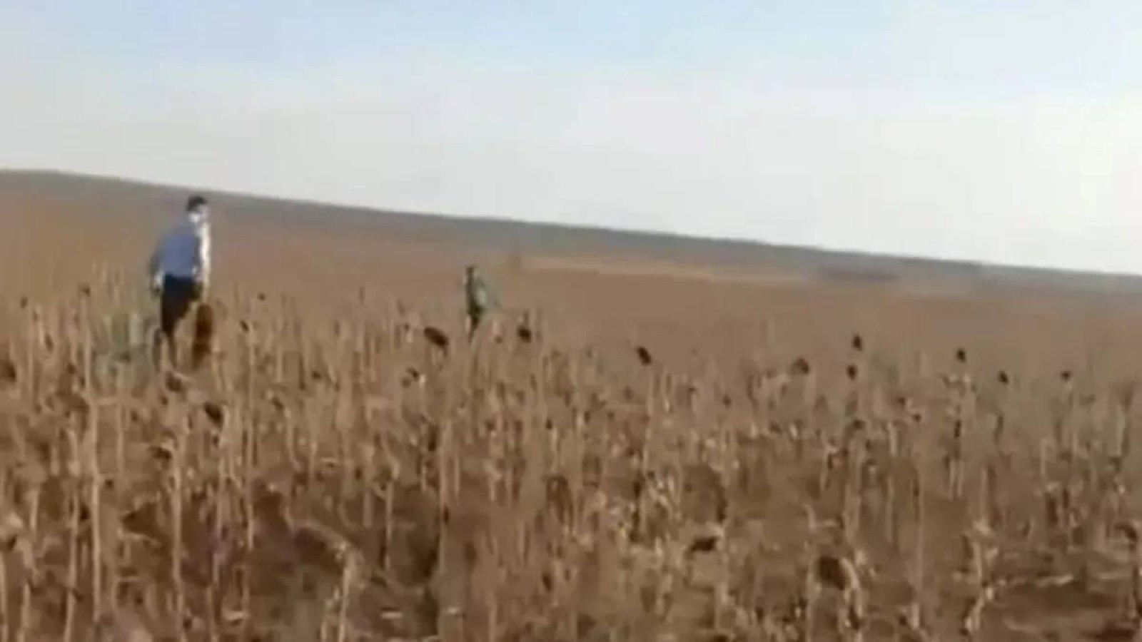 Абай облысында жоғалған 7 жастағы бала ауылдан төрт шақырым жерден табылды