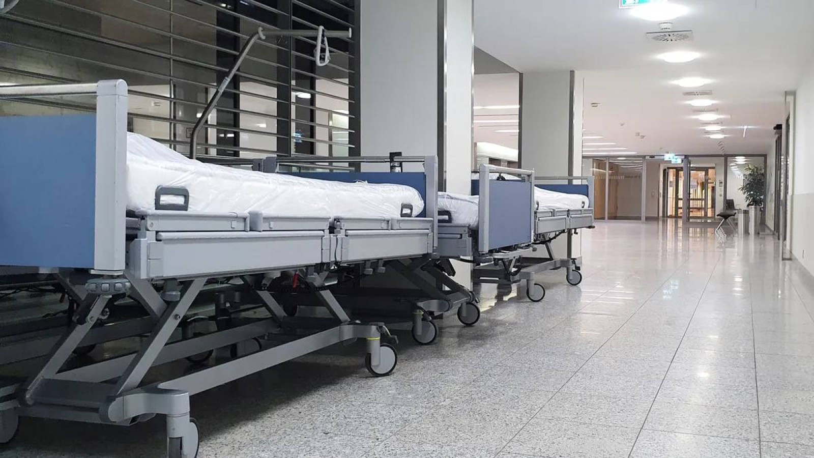 Алматыда жаппай ауруханаға түскен 58 оқушының жағдайы белгілі болды