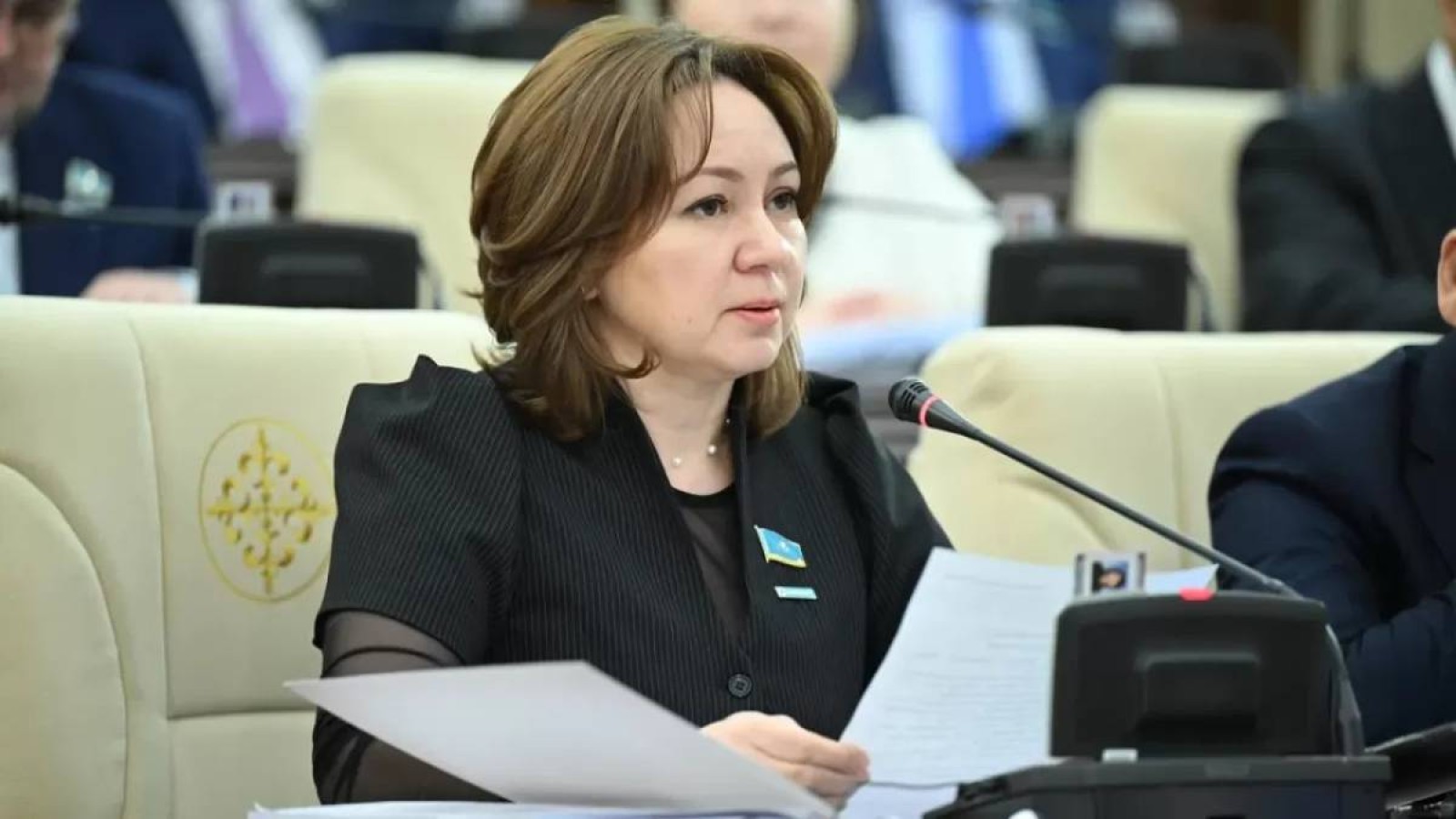 Жаңа Азаматтық кодексте адам құқықтары басты бағдар болуы тиіс – Снежанна Имашева