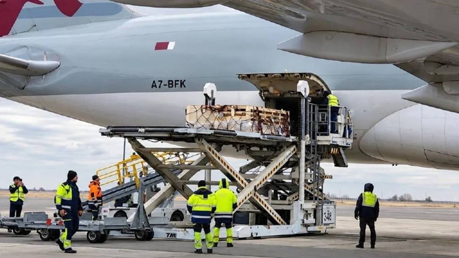 Астанаға Австралиядан 1100 қой ұшақпен жеткізілді