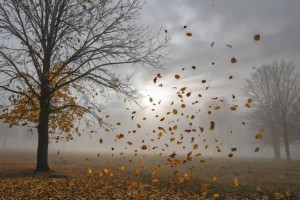 15 қазанға арналған ауа райы болжамы