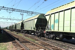 Көлік министрлігінде Өзбекстан шекарасындағы астық тасымалы мәселесі талқыланды