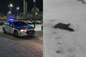 Астанада екі бөлек ауданнан ер адам мен әйелдің денелері табылды