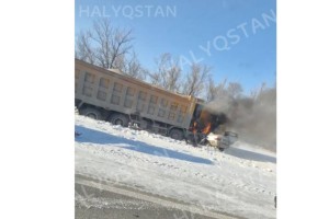 СҚО-да жүргізуші мен жолаушы өртеніп кетті