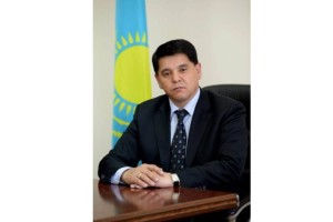 Конститутцияда журналистиканың дербес институт ретіндегі мәртебесі бекітілуі тиіс – профессор