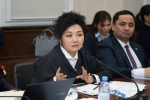 Жаңа Конституция цифрлық дәуірде адам құқықтарын қорғауды күшейтеді – «Әділ сөз» қорының президенті