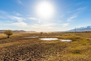 Жақын күндері Қазақстанда ауа температурасы +32 градусқа дейін көтеріледі