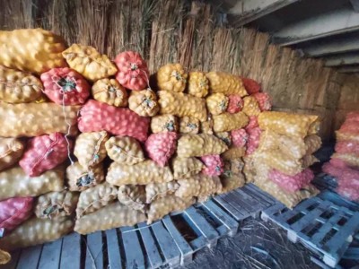 Бір адамға екі келі: Қазақстанда картоп пен сәбіз алуға шектеу қойылды.