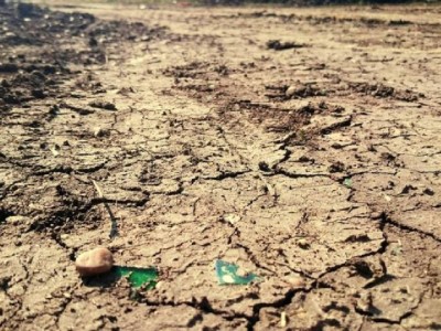 Қызылордадағы құрғақшылыққа төтенше жағдай енгізу ұсынылды.