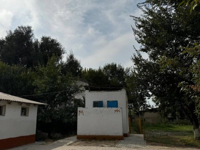 Түркістан облысы: Зорланған 15 жасар қыз, күнде таяқ жейтін төрт бала, бопсалау, буллинг.