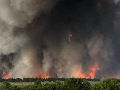 Абай облысындағы ірі орман өртіне қатысты қылмыстық іс сотқа жолданды.