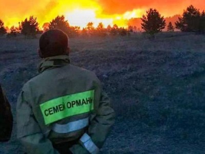 Өрт: Аяқ киім берілмеген орманшылар, өртке жетпей далада қалған 5 көлік.