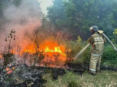 Абай облысының аумағындағы орман өрттерінің жағдайы тұрақтануда.